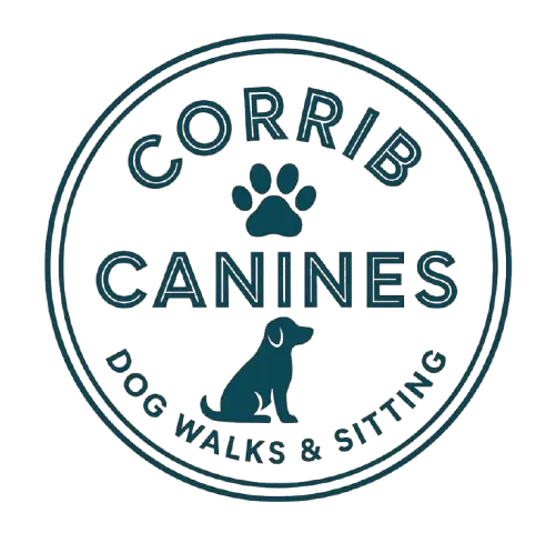 Corrib Canines dog walking and sitting Galway